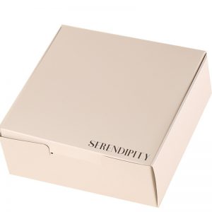 cake box with paper insert